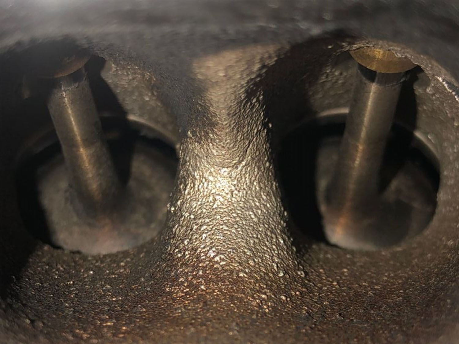 Walnut Blast | Auto Euphoria